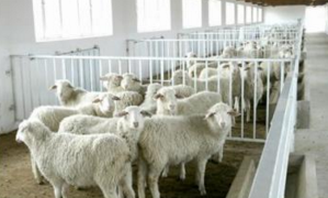 養殖場二次供水設備.png 養殖場二次供水設備.png